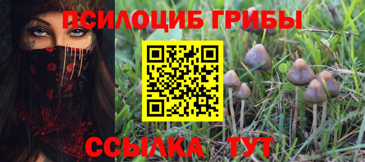 Белорецк  Псилоцибиновые грибы прущие грибы  Вход с VPN 